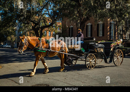 SAVANNAH, Georgia - 3. MÄRZ 2018: eine Pferdekutsche macht seinen Weg durch die Altstadt von Savannah, Georgia Stockfoto