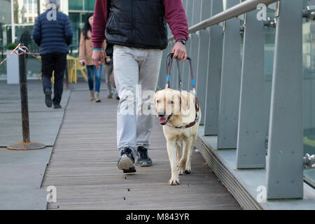 Blinde mit Blindenhund Stockfoto