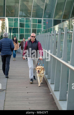 Blinde mit Blindenhund Stockfoto