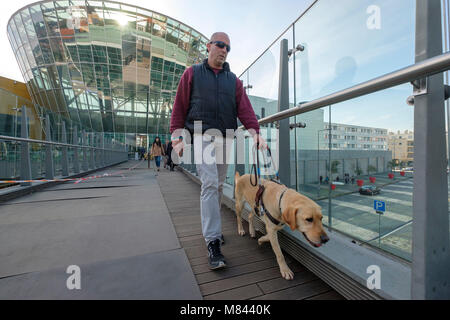 Blinde mit Blindenhund Stockfoto