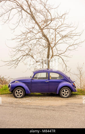 Berg Pelion, Griechenland - VOLOS JANUAR 2017: blau cyan Volkswagen Käfer Oldtimer in einer Straße vor einem Baum geparkt. Stockfoto