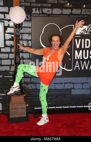 Richard Simmons besucht die 2013 MTV Video Music Awards am Barclays Center am 25. August 2013 im Brooklyn Borough von New York City. Stockfoto