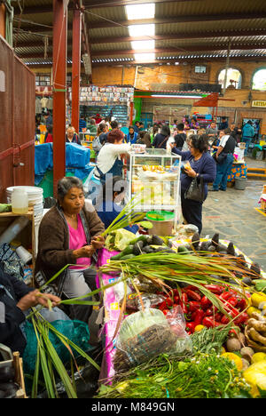 Einheimische indische Frau, die Gemüse auf dem Markt, Mercado de artesanias, San Miguel de Allende, Guanajuato, Mexiko verkauft Stockfoto