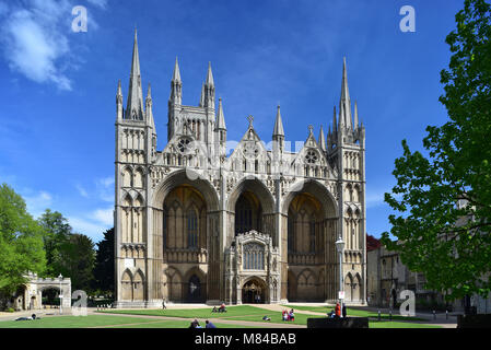 Peterborough Kathedrale, Cambridgeshire, England, UK Stockfoto