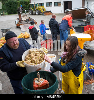 Handwerk Apfelsaft Herstellung in Deutschland Stockfoto