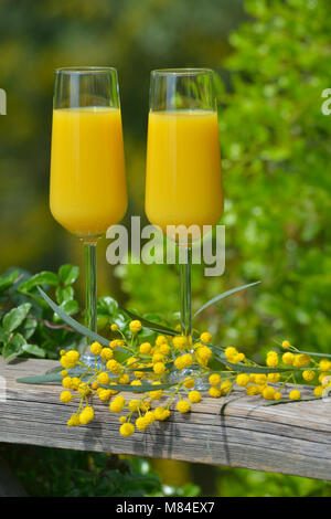 Zwei Gläser von Mimosa Cocktail im Freien gegen üppigem Laub Stockfoto