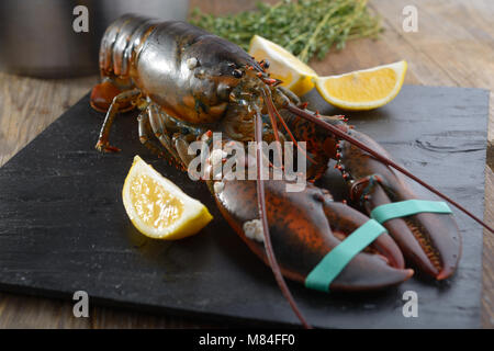Krallen Hummer auf einem Tisch vor dem Kochen Stockfoto