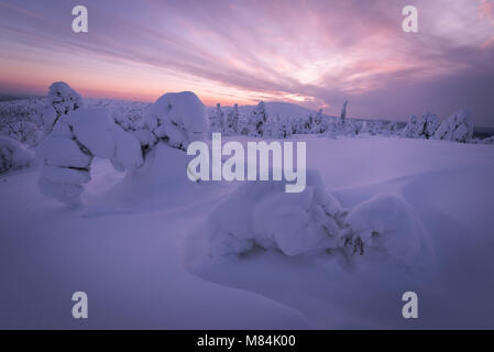 Verschneite Landschaft in der Abenddämmerung. Muonio, Lappland, Finnland. Foto in der Pallas-Yllästunturi-Nationalpark. Stockfoto