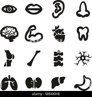 Die menschliche Anatomie Symbole Freehand füllen Stock Vektor