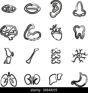 Die menschliche Anatomie Symbole Freehand Stock Vektor