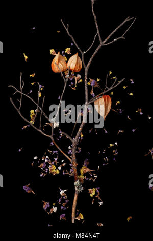 Gelb, Blume, Grafik, hell, mit Blumen, abstrakte, Dekoration, dekorative, Orange, Herbst, Design, Farbe, Muster, Blatt Stockfoto