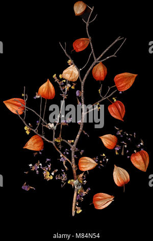 Gelb, Blume, Grafik, hell, mit Blumen, abstrakte, Dekoration, dekorative, Orange, Herbst, Design, Farbe, Muster, Blatt Stockfoto