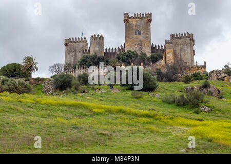 Castillo de Almodóvar del Rio Stockfoto