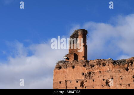 Stork im El Badi, Marrakesch, Marokko Stockfoto