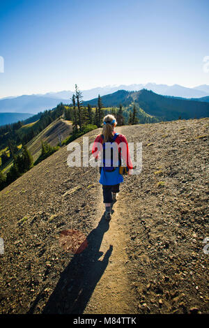 Eine Frau wandern die hohe Kante Naturlehrpfad in der Nähe von Hurricane Ridge in Olympic National Park, Washington State, USA. Stockfoto