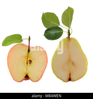 Abbildung: Apfel und Birne auf weißem Hintergrund Stockfoto
