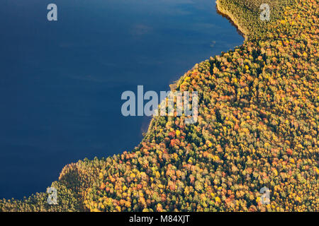 Blick von oben auf die Herbst Wald See Stockfoto