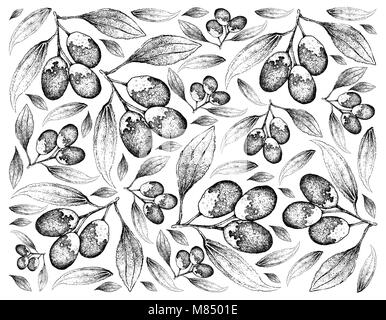 Tropische Früchte, Illustration Hintergrund von Hand gezeichnete Skizze Jujube, Chinesisch Datum oder Ziziphus Jujuba Früchte. Stockfoto