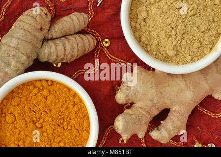 Pulver und Wurzeln von kurkuma und Ingwer auf indischen Teppich Hintergrund Stockfoto