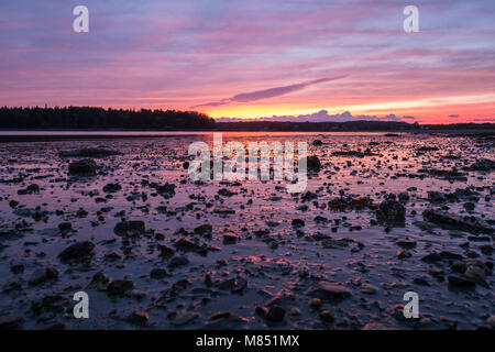 Ein rosa und orange Sonnenuntergang über dem Wattenmeer von Stonington, Maine. Stockfoto