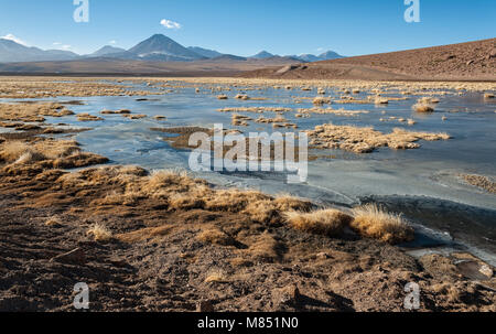 Aktive Vulkan Putana (auch bekannt als Jorqencal oder Machuca) in der Nähe von Vado Rio Putana in der Atacama-wüste, Chile - Südamerika Stockfoto