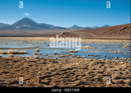 Aktive Vulkan Putana (auch bekannt als Jorqencal oder Machuca) in der Nähe von Vado Rio Putana in der Atacama-wüste, Chile - Südamerika Stockfoto