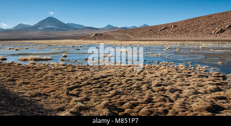 Aktive Vulkan Putana (auch bekannt als Jorqencal oder Machuca) in der Nähe von Vado Rio Putana in der Atacama-wüste, Chile - Südamerika Stockfoto