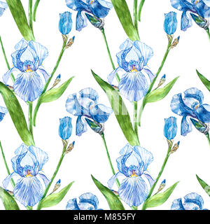 Blüten der Iris. Aquarell Hand gezeichnet botanischen Abbildung von Blumen. Nahtlose Muster Stockfoto