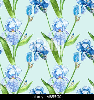 Blüten der Iris. Aquarell Hand gezeichnet botanischen Abbildung von Blumen. Nahtlose Muster Stockfoto
