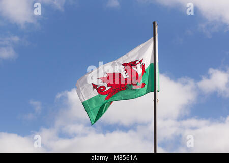 Eine walisische Flagge aus der Pole der rote Drache oder Y Ddraig Goch von Cadwaladr König von Gwynedd geht zurück bis ca. 655 ad Stockfoto