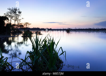 Jayatataka Baray, Angkor, Kambodscha Stockfoto