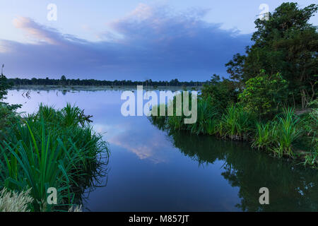 Jayatataka Baray, Angkor, Kambodscha Stockfoto