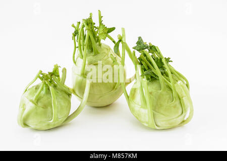 Kohlrabi oder knol Khol (Brassica oleracea) auf weißem Hintergrund Stockfoto