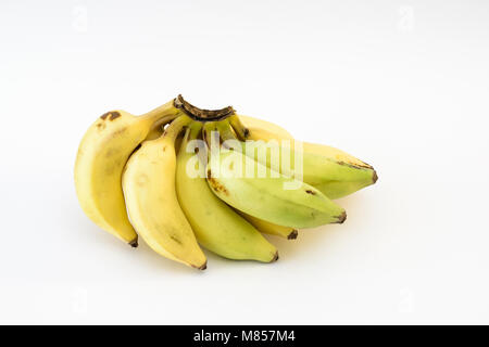 Bündel von Indischen yellaki Bananen Stockfoto