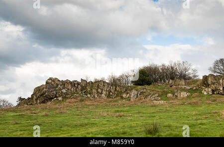 Ein Bild von einem alten Felsen der Felsen 700 Millionen Jahre zurückgehen. Schuß am Beacon Hill Country Park, Leicestershire, England, UK. Stockfoto