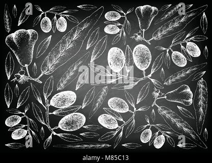 Tropische Früchte, Illustration Hintergrund von Hand gezeichnete Skizze von Java Rose Apple, Bell Obst, Wasser Apple oder Wachs Jambu und Oliven oder Olea Eur Stock Vektor