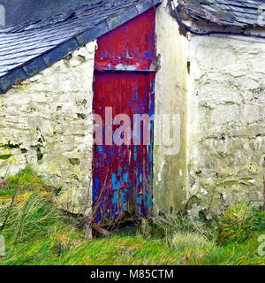 Die leuchtend rote Tür eines baufälligen Bauernhaus steht in scharfem Kontrast zu den umliegenden grüne Landschaft der Denbigh Moors. Stockfoto