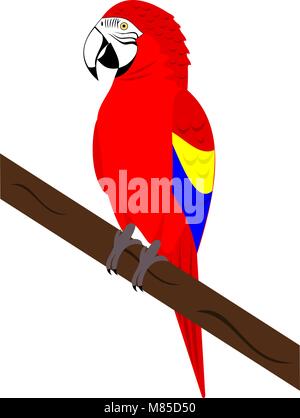 Ein roter Ara Papagei Stock Vektor