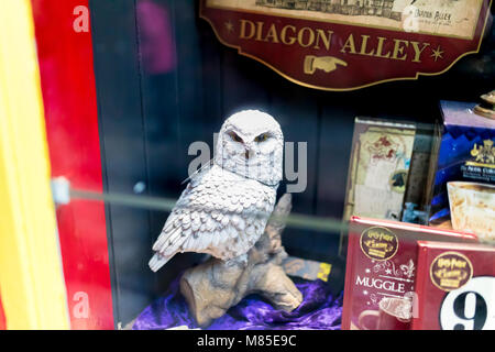 The Shambles, York 16. Februar 2018. J K Rowlings Harry Potter waren einschließlich Hedwig die Eule und Bücher im Shop, die nicht in genannt werden. Stockfoto