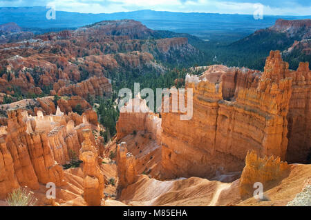 Blick auf den frühen Morgen Licht auf Hoodoos vom Sunset Point gesehen im Bryce Canyon National Park, Utah USA übersehen Stockfoto