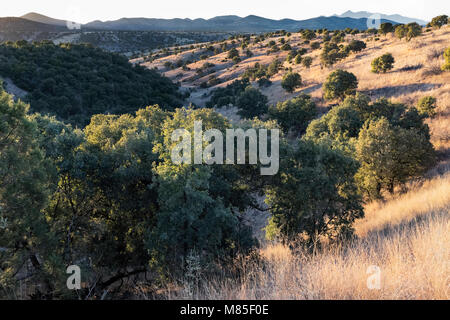 Santa Cruz County in der Nähe von Sonoita, Arizona Stockfoto