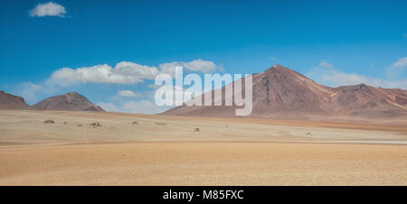 Panoramablick über die Salvador Dali Wüste in der Fauna der Anden Eduardo Avaroa National Reserve, Bolivien - Südamerika Stockfoto