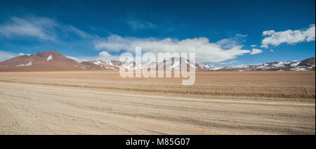 Panoramablick über die Salvador Dali Wüste in der Fauna der Anden Eduardo Avaroa National Reserve, Bolivien - Südamerika Stockfoto