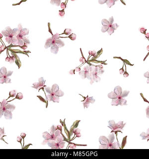 Florale nahtlose Muster isoliert auf weißem Hintergrund. Apfel, Mandel, Kirsche Frühjahrsblüte Hintergrund. Sakura nahtlose Muster. Stockfoto