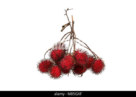 Frische rambutan süße Frucht auf weißem Hintergrund Stockfoto