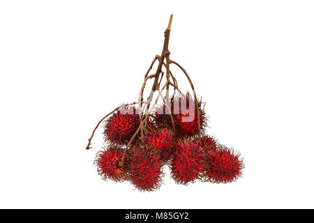 Köstliche rambutan Frucht auf weißem Hintergrund Stockfoto