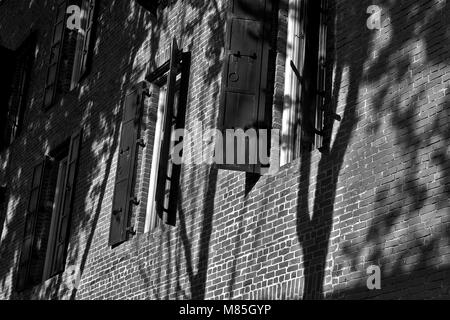 Schwarz-weiß Foto von einem Gebäude mit schwarzen windo Fensterläden öffnen, Sonne, die auf der Seite des Gebäudes werfen Schatten der Bäume Stockfoto