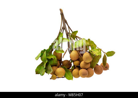 Frische logan Obst mit Blättern auf weißem Hintergrund Stockfoto