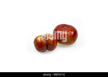 Jujube Früchte auf weißem Hintergrund Stockfoto