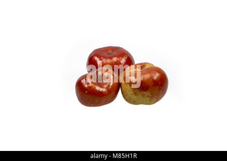 Drei Stücke von frischem jujube Obst auf weißem Hintergrund Stockfoto